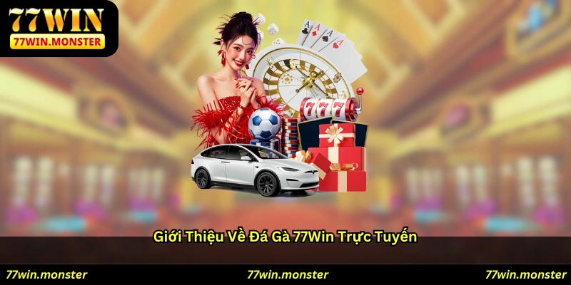 Giới thiệu về đá gà 77win trực tuyến